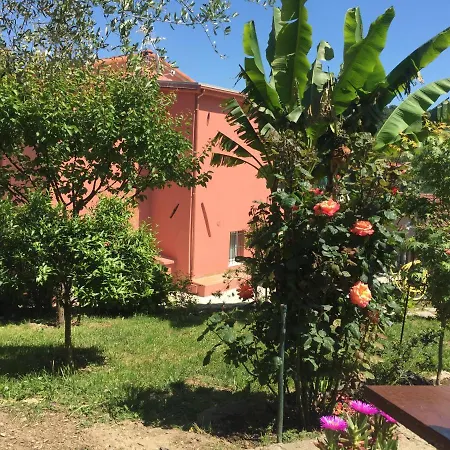 Apartment Casa Rosa, Peaceful Surrounded By Greenery With Free Parking, Wifi & Air Conditioning Rapallo